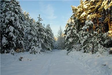 《超级马里奥》游戏配音者退休 将担任马里奥大使